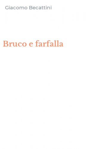 Bruco e farfalla