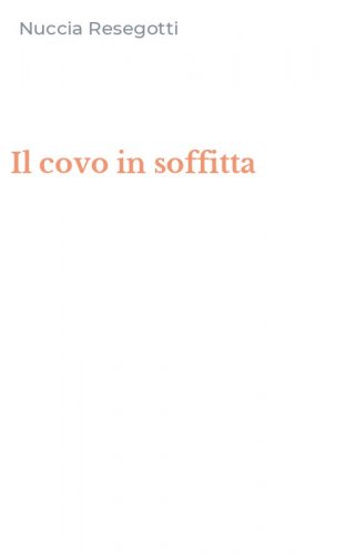 Il covo in soffitta