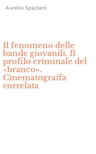 Il fenomeno delle bande giovanili. Il profilo criminale del &laquo;branco&raquo;. Cinematograifa correlata