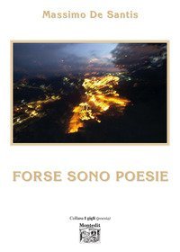 Forse sono poesie