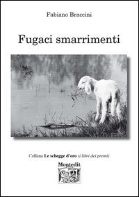 Fugaci smarrimenti