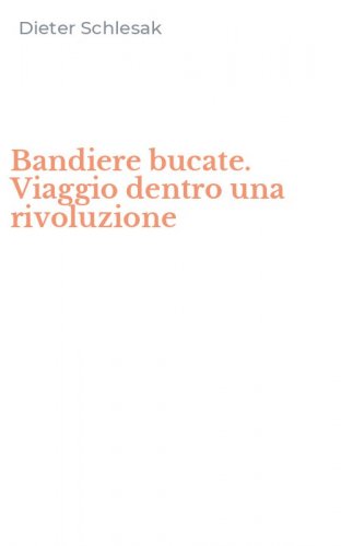 Bandiere bucate. Viaggio dentro una rivoluzione
