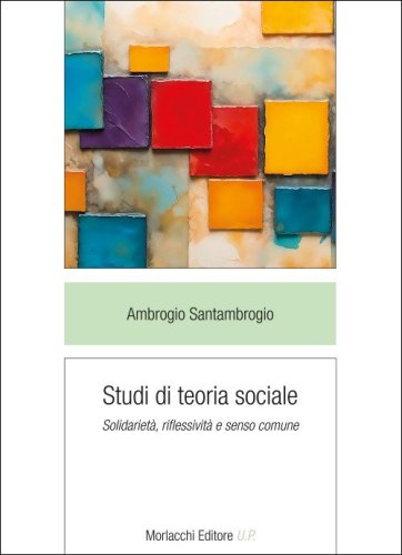 Studi di teoria sociale. Solidariet&agrave;, riflessivit&agrave; e senso comune
