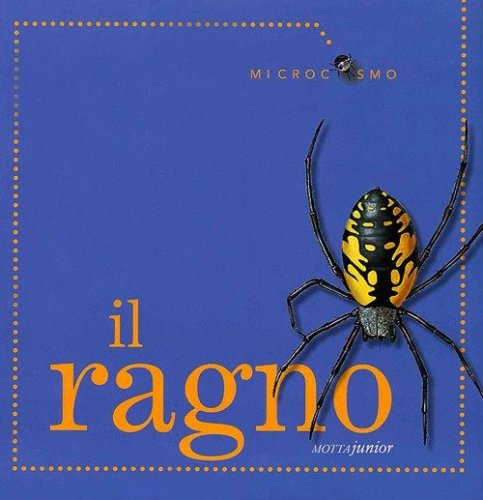 Il ragno