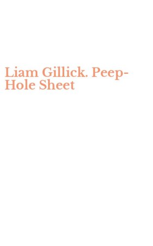 Liam Gillick. Peep-Hole Sheet