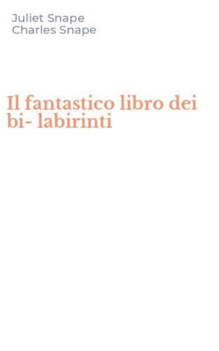 Il fantastico libro dei bi-labirinti