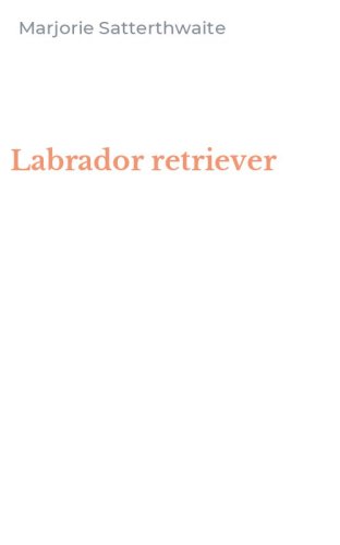 Labrador retriever