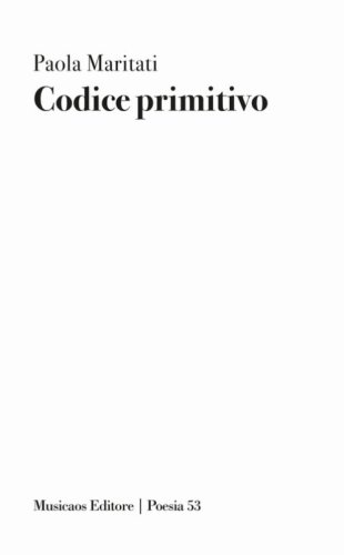 Codice primitivo