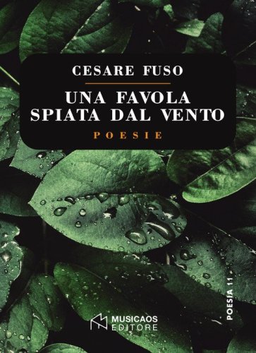 Una favola spiata dal vento