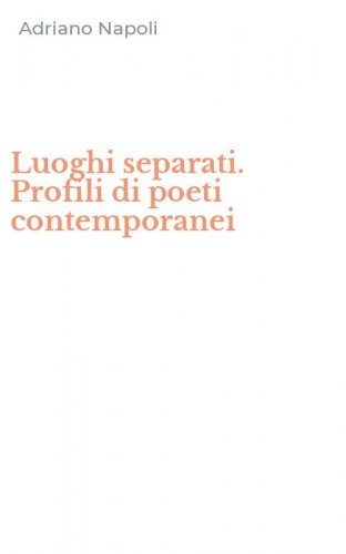 Luoghi separati. Profili di poeti contemporanei