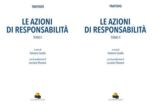 Le azioni di responsabilit&agrave;