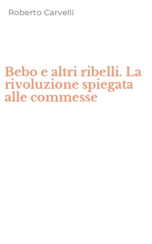 Bebo e altri ribelli. La rivoluzione spiegata alle commesse
