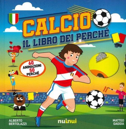 Calcio. Il libro dei perch&eacute;