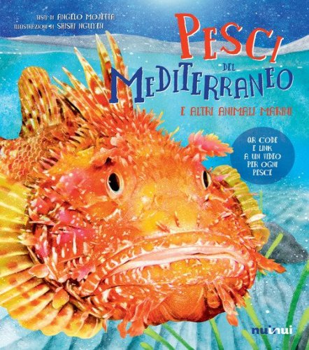 Pesci del Mediterraneo e altri animali marini