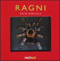 Ragni. Libro pop-up