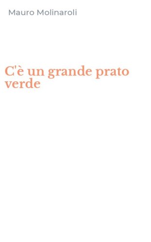 C'&egrave; un grande prato verde