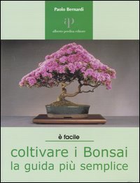 Coltivare i bonsai. La guida pi&ugrave; semplice