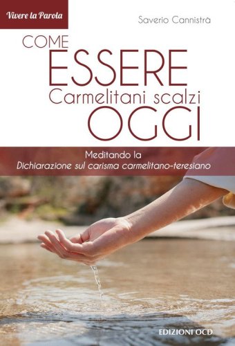 Come essere carmelitani scalzi oggi. Meditando la &laquo;Dichiarazione sul carisma carmelitano-teresiano&raquo;