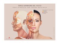 Terzo inferiore e terzo superiore del volto. Punti d'inoculo con tossina botulinica. Tavole