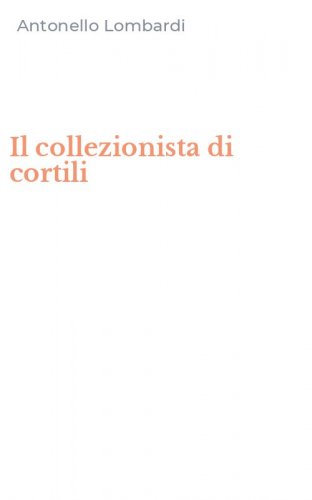 Il collezionista di cortili