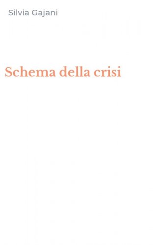 Schema della crisi
