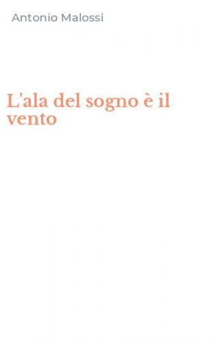 L'ala del sogno &egrave; il vento