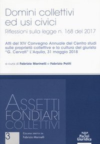 Domini collettivi ed usi civici. Riflessioni sulla legge n. 168 del 2017. Atti del XIV convegno annuale del Centro studi sulle propriet&agrave; collettive e la cultura del giurista &laquo;G. Cervati&raquo; (L'Aquila, 31 maggio 2018)