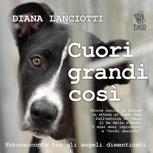 Cuori grandi cos&igrave;. Fotoracconto tra gli angeli dimenticati