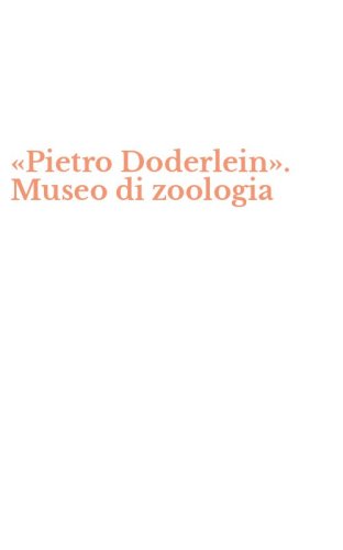 &laquo;Pietro Doderlein&raquo;. Museo di zoologia