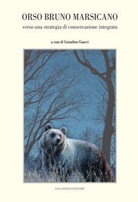 Orso bruno marsicano