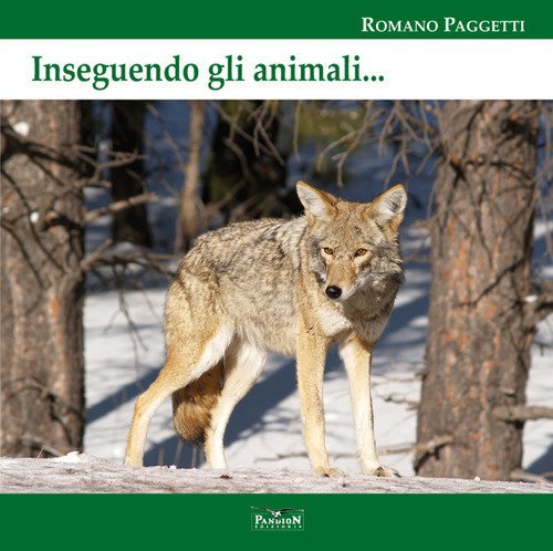 Inseguendo gli animali