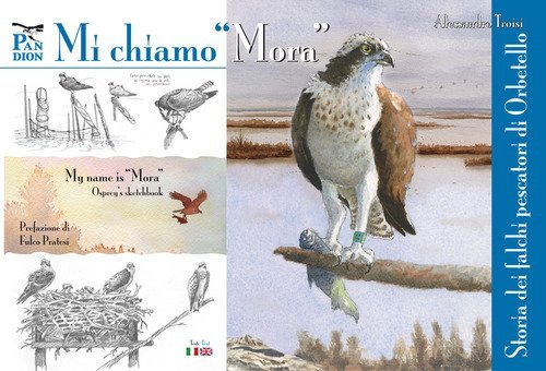 Mi chiamo &laquo;Mora&raquo;. Storia dei falchi pescatori di Orbetello