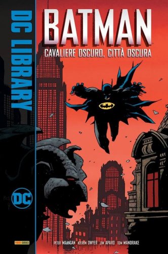 Cavaliere oscuro, citt&agrave; oscura. Batman