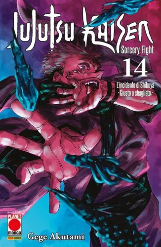 Jujutsu Kaisen. Sorcery Fight