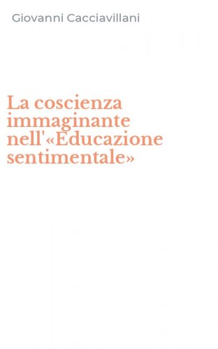 La coscienza immaginante nell'&laquo;Educazione sentimentale&raquo;