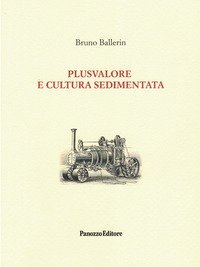 Plusvalore e cultura sedimentata