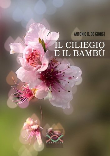 Il ciliegio e il bamb&ugrave;