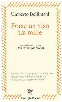 Forse un viso tra mille