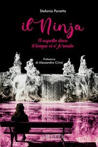 Il ninja. Ti aspetto dove il tempo si &egrave; fermato