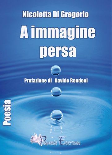 A immagine persa
