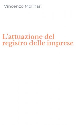 L'attuazione del registro delle imprese