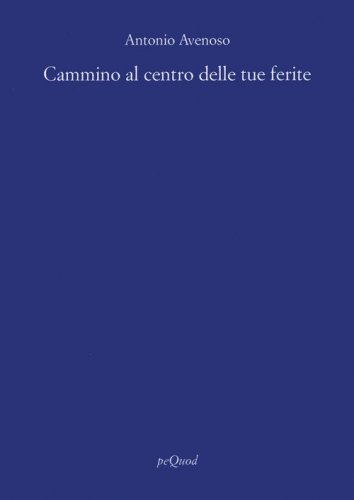 Cammino al centro delle tue ferite