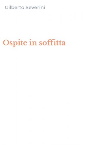 Ospite in soffitta