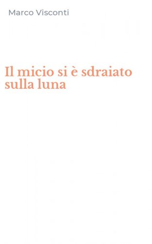 Il micio si &egrave; sdraiato sulla luna