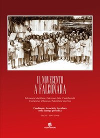 Il Novecento a Falconara. Falconara Marittima, Falconara Alta, Castelferretti Fiumesino, Villanova, Palombina Vecchia. L'ambiente, la societ&agrave;, la cultura nella stampa periodica