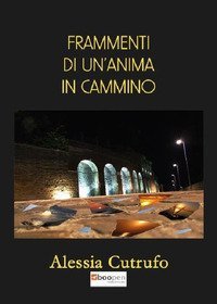 Frammenti di un'anima in cammino