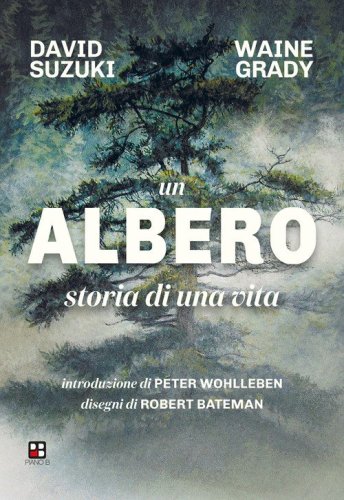 Un albero. Storia di una vita