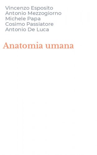 Anatomia umana