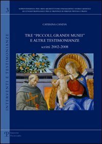 Tre &laquo;piccoli, grandi musei&raquo; e altre testimonianze. Scritti (2002-2008)