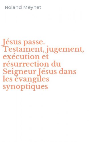 J&eacute;sus passe. Testament, jugement, ex&eacute;cution et r&eacute;surrection du Seigneur J&eacute;sus dans les &eacute;vangiles synoptiques